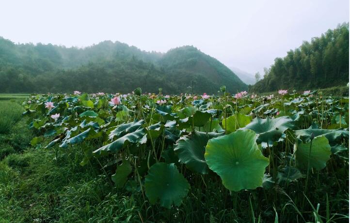 ����һ��_��һ����